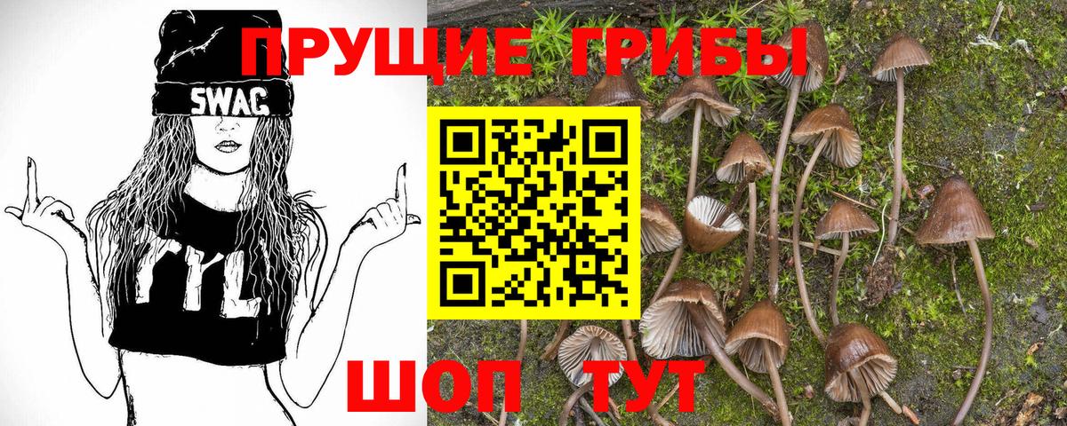 Псилоцибиновые грибы мухоморы Вышний Волочёк