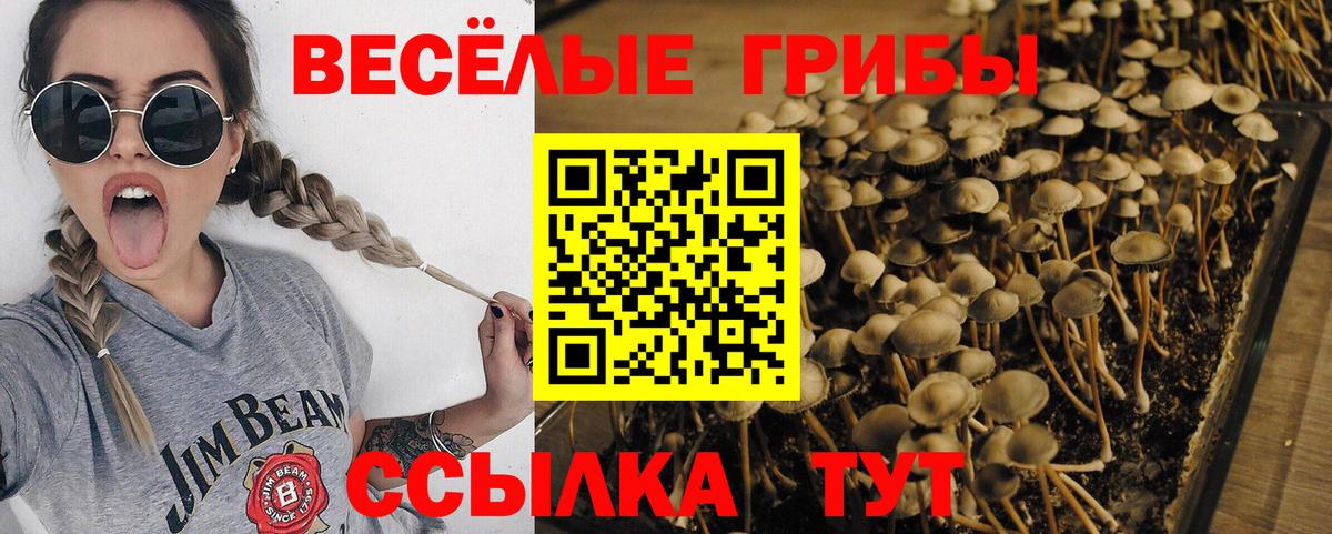даркнет сайт  Вход с VPN  Псилоцибиновые грибы мицелий  Вышний Волочёк  Псилоцибиновые грибы ЛСД 